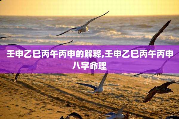 壬申乙巳丙午丙申的解释,壬申乙巳丙午丙申八字命理