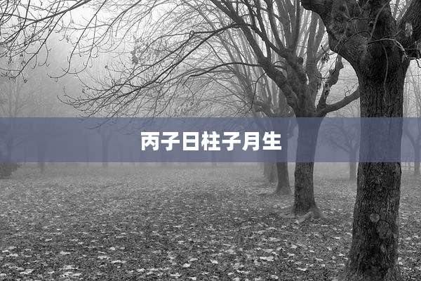 丙子日柱子月生