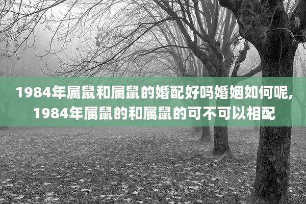 1984年属鼠和属鼠的婚配好吗婚姻如何呢,1984年属鼠的和属鼠的可不可以相配
