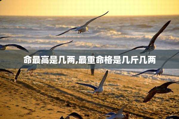 命最高是几两,最重命格是几斤几两