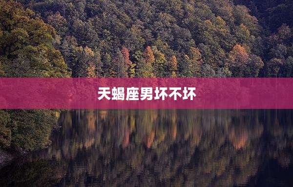天蝎座男坏不坏