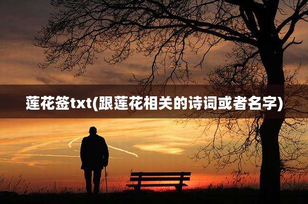 莲花签txt(跟莲花相关的诗词或者名字)