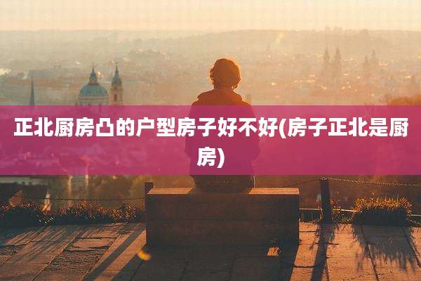 正北厨房凸的户型房子好不好(房子正北是厨房)