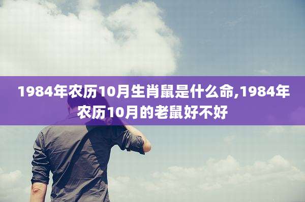1984年农历10月生肖鼠是什么命,1984年农历10月的老鼠好不好