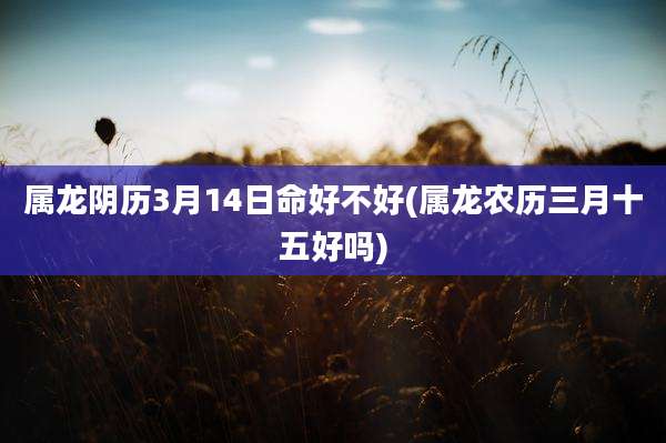 属龙阴历3月14日命好不好(属龙农历三月十五好吗)