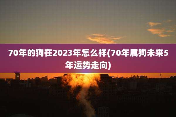 70年的狗在2023年怎么样(70年属狗未来5年运势走向)