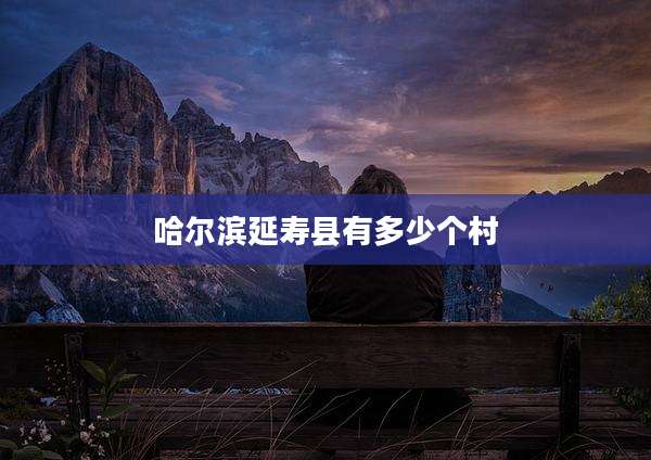哈尔滨延寿县有多少个村