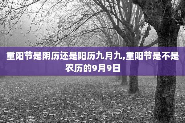 重阳节是阴历还是阳历九月九,重阳节是不是农历的9月9日