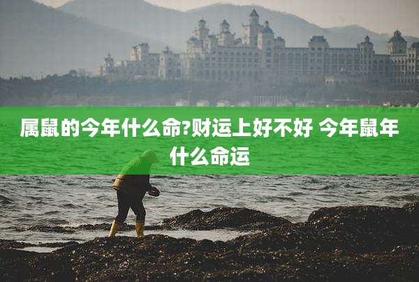 属鼠的今年什么命?财运上好不好 今年鼠年什么命运