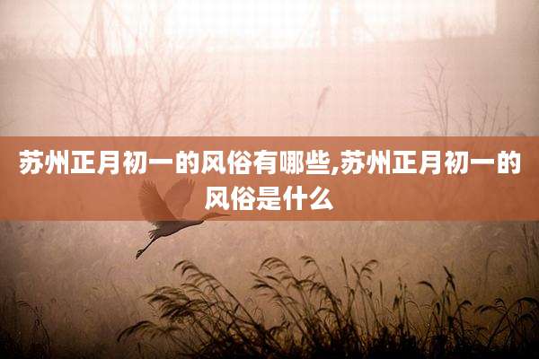 苏州正月初一的风俗有哪些,苏州正月初一的风俗是什么