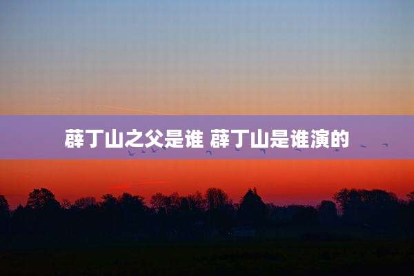薜丁山之父是谁 薜丁山是谁演的