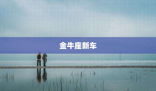 金牛座新车