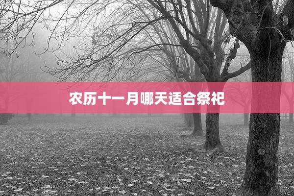 农历十一月哪天适合祭祀