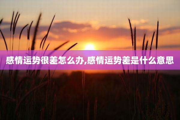 感情运势很差怎么办,感情运势差是什么意思