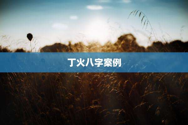 丁火八字案例