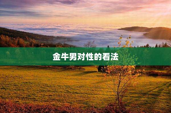 金牛男对性的看法