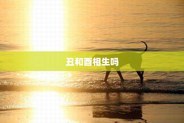 丑和酉相生吗