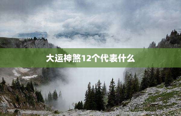 大运神煞12个代表什么