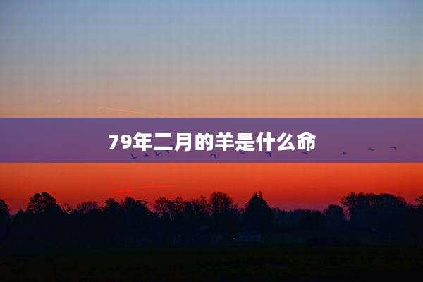 79年二月的羊是什么命