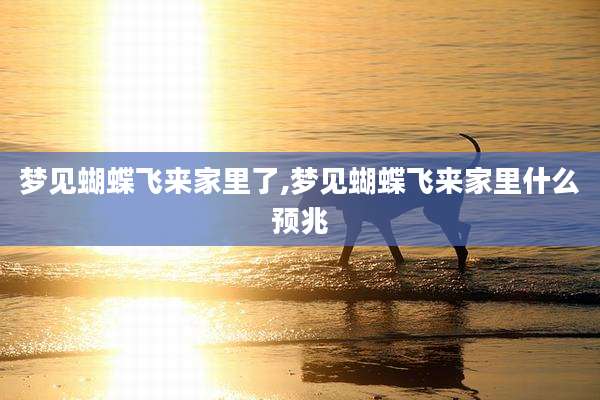 梦见蝴蝶飞来家里了,梦见蝴蝶飞来家里什么预兆
