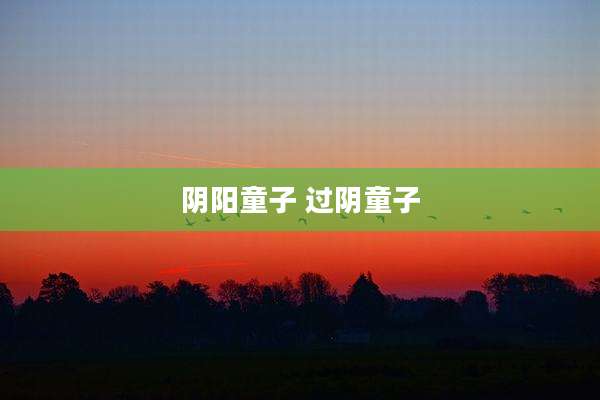 阴阳童子 过阴童子