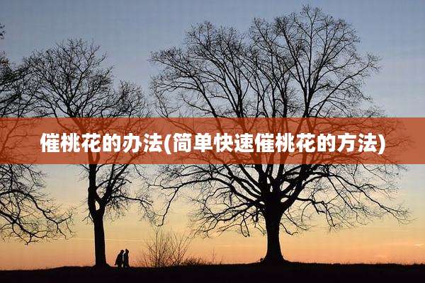 催桃花的办法(简单快速催桃花的方法)