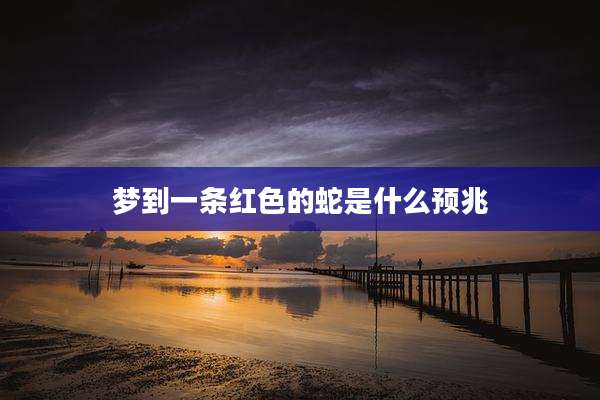 梦到一条红色的蛇是什么预兆