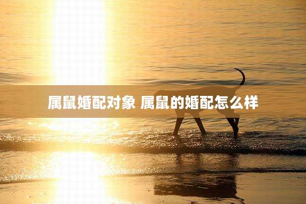 属鼠婚配对象 属鼠的婚配怎么样