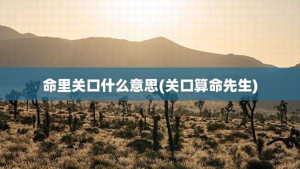 命里关口什么意思(关口算命先生)