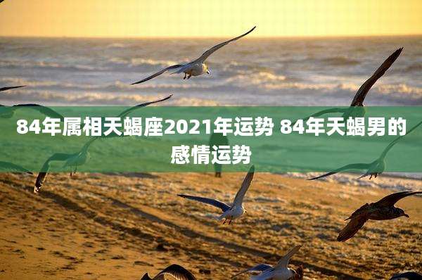 84年属相天蝎座2021年运势 84年天蝎男的感情运势