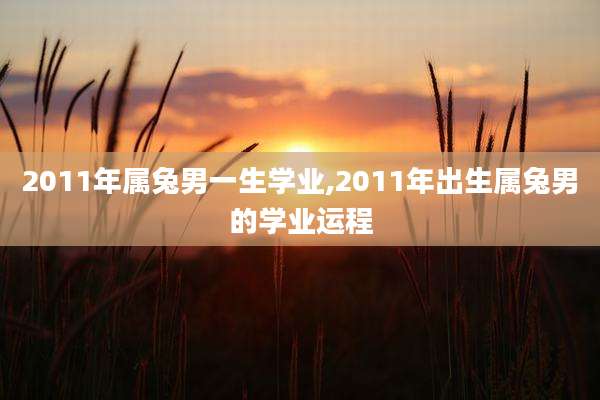 2011年属兔男一生学业,2011年出生属兔男的学业运程