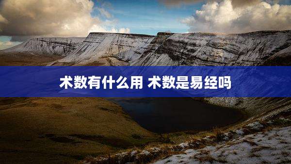 术数有什么用 术数是易经吗