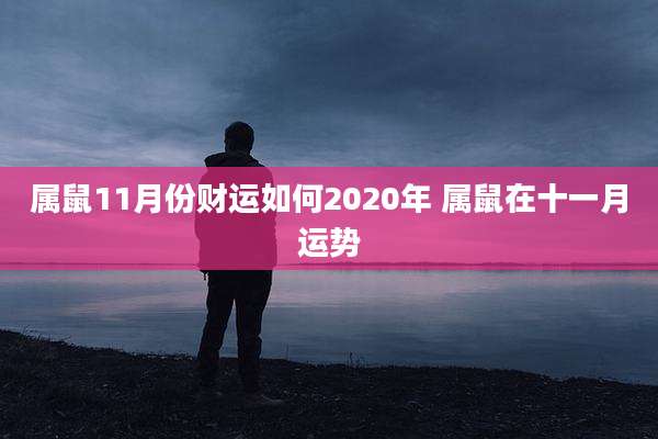 属鼠11月份财运如何2020年 属鼠在十一月运势