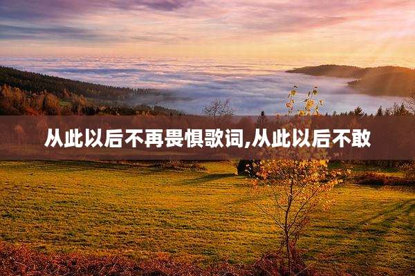 从此以后不再畏惧歌词,从此以后不敢