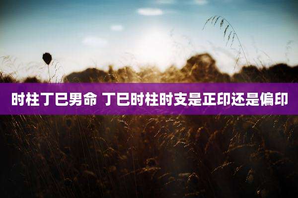 时柱丁巳男命 丁巳时柱时支是正印还是偏印