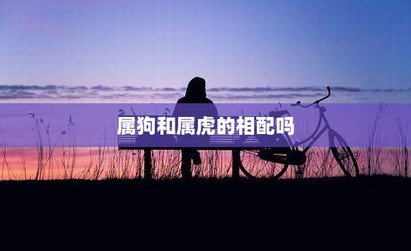属狗和属虎的相配吗