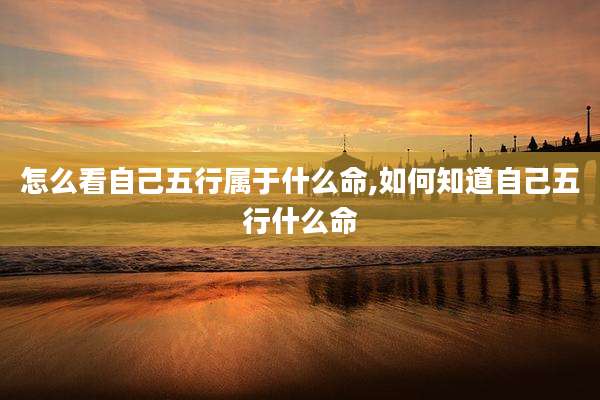 怎么看自己五行属于什么命,如何知道自己五行什么命