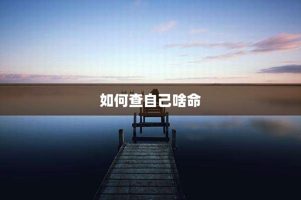如何查自己啥命