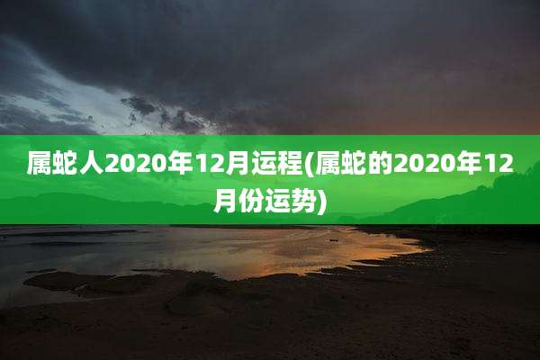 属蛇人2020年12月运程(属蛇的2020年12月份运势)