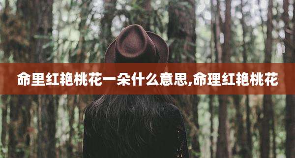 命里红艳桃花一朵什么意思,命理红艳桃花