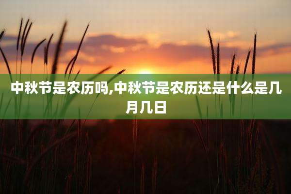 中秋节是农历吗,中秋节是农历还是什么是几月几日