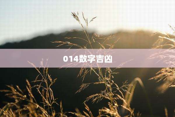 014数字吉凶