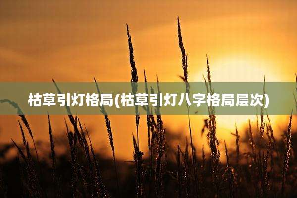 枯草引灯格局(枯草引灯八字格局层次)