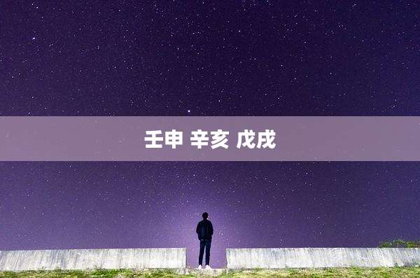 壬申 辛亥 戊戌