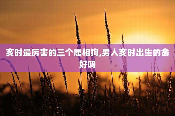 亥时最厉害的三个属相狗,男人亥时出生的命好吗