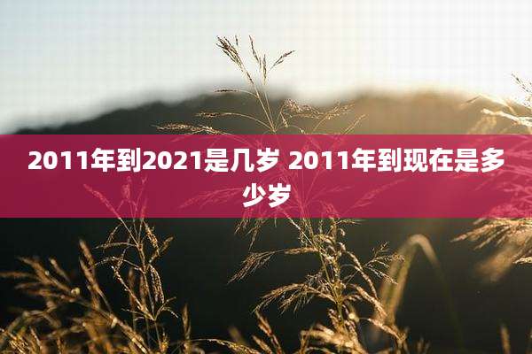 2011年到2021是几岁 2011年到现在是多少岁