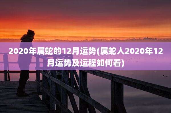 2020年属蛇的12月运势(属蛇人2020年12月运势及运程如何看)