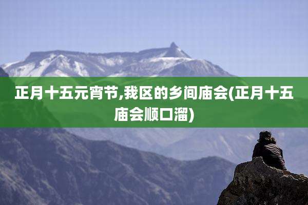 正月十五元宵节,我区的乡间庙会(正月十五庙会顺口溜)