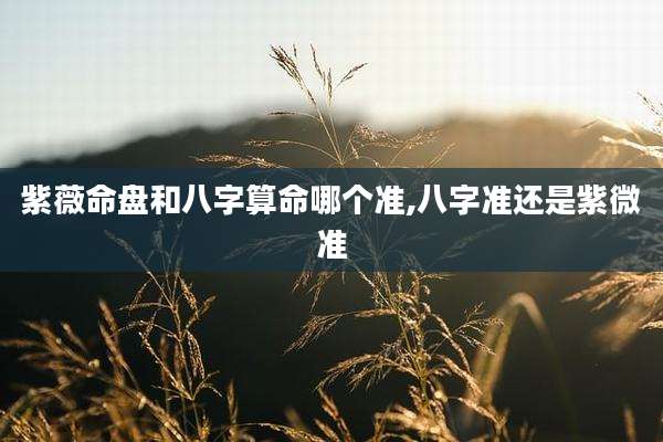 紫薇命盘和八字算命哪个准,八字准还是紫微准