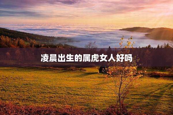 凌晨出生的属虎女人好吗